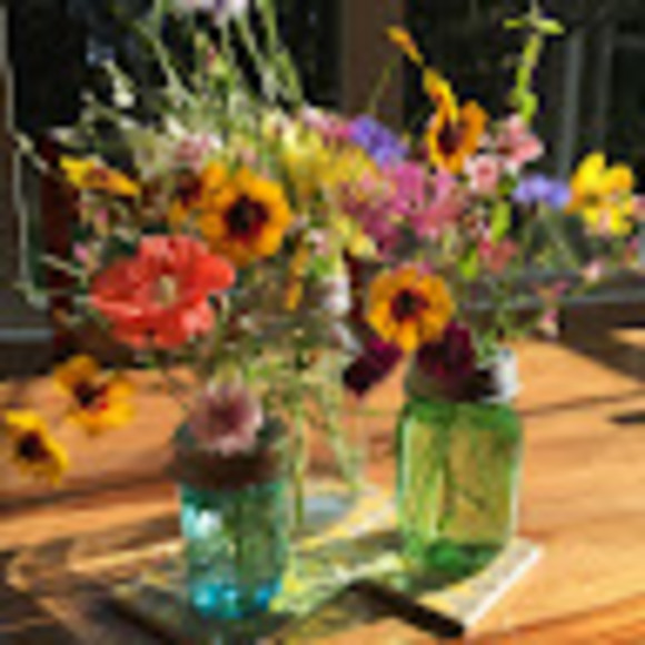 Meet your Posher, Heather - Picture 1 of 1